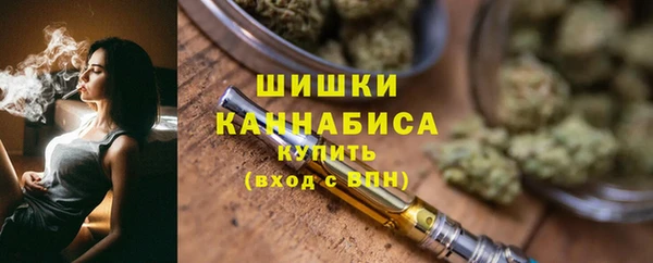 первитин Инсар