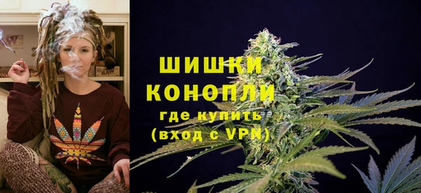 первитин Инсар