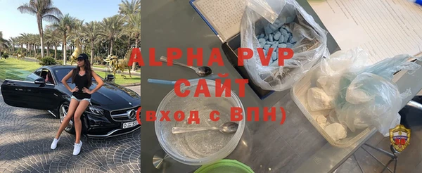 PSILOCYBIN Инта